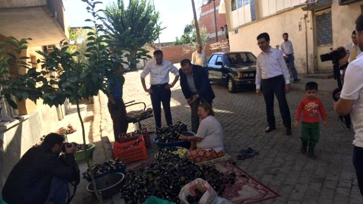Ak Partili Vekil Adayları Patlıcan Oydu