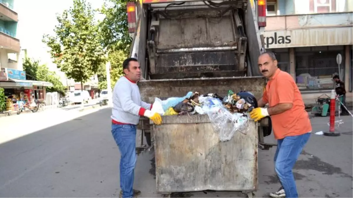 Grev Bitti, Hayat Normale Döndü