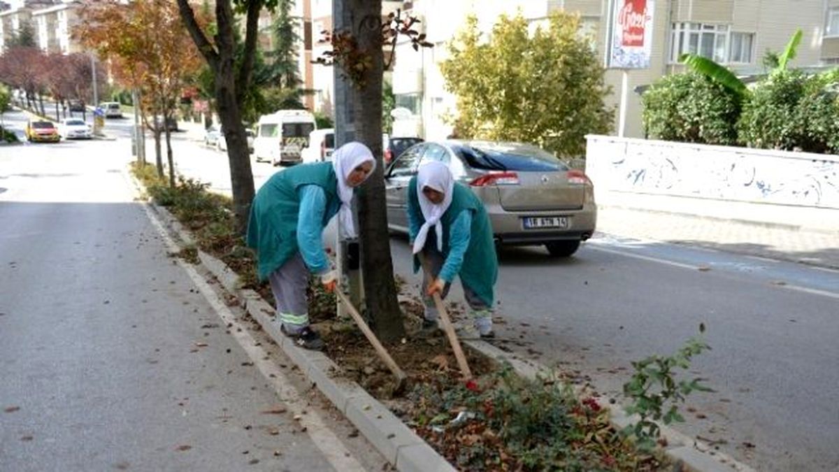 Nilüferde Cadde ve Sokaklar Yeşillendiriliyor