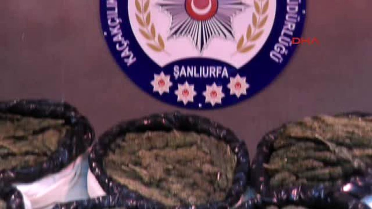 Şanlıurfa?da 263 Kilo Esrara 2 Gözaltı