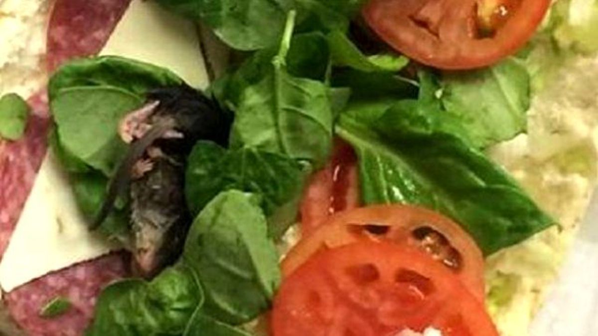 Subway Sandviçinden Ölü Fare Çıktı