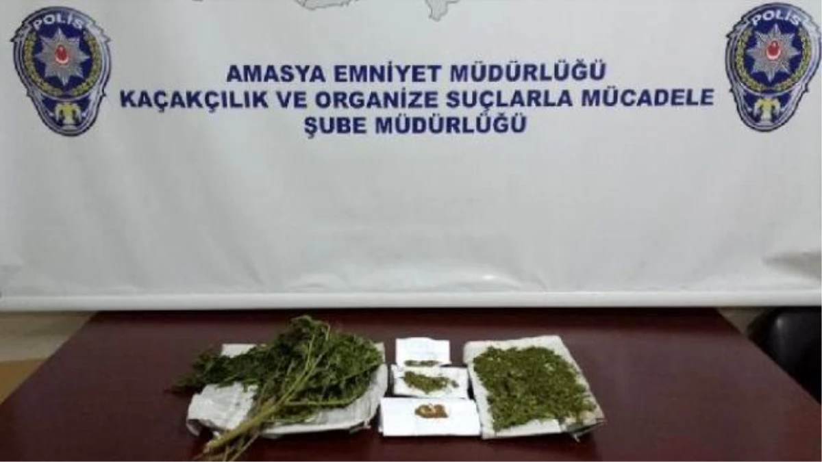 Amasya\'da Uyuşturucu Operasyonu 2 Gözaltı