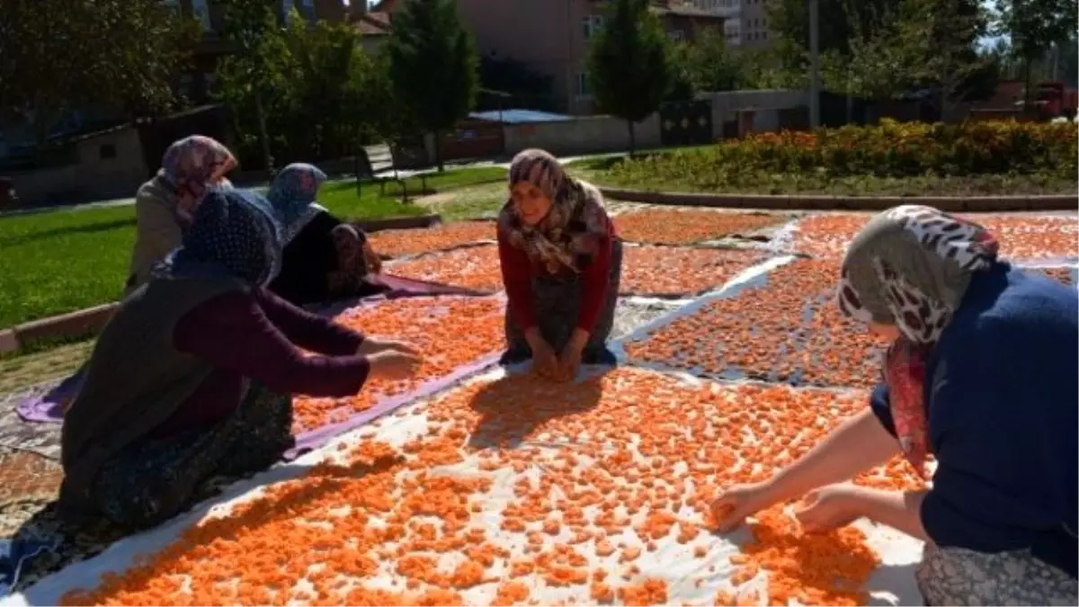 İmece Usulü Tarhana