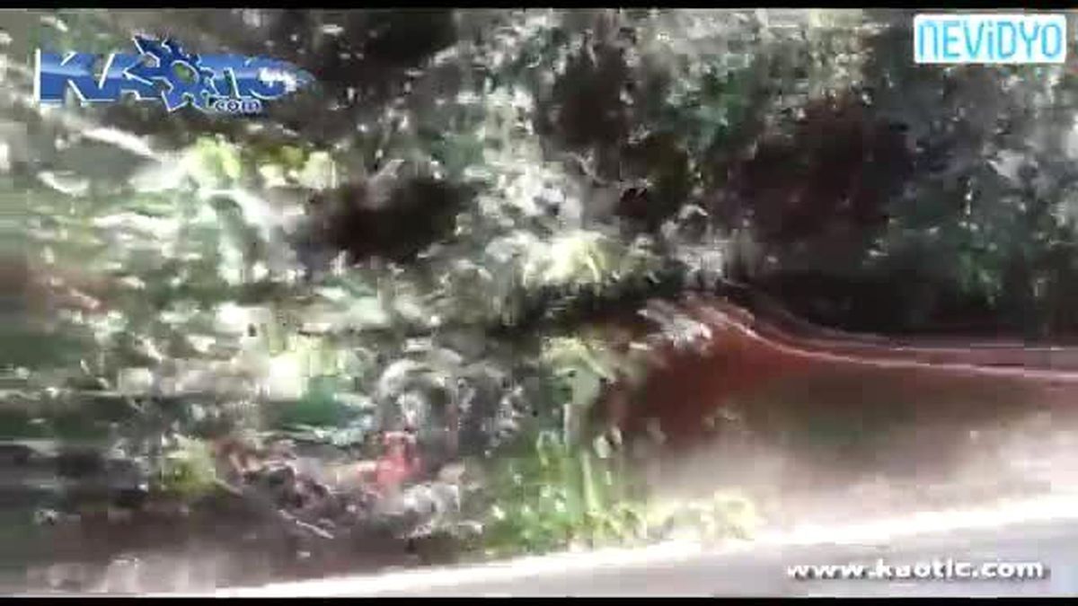 Nehirden Dehşet Verici Canavar Çıktı!