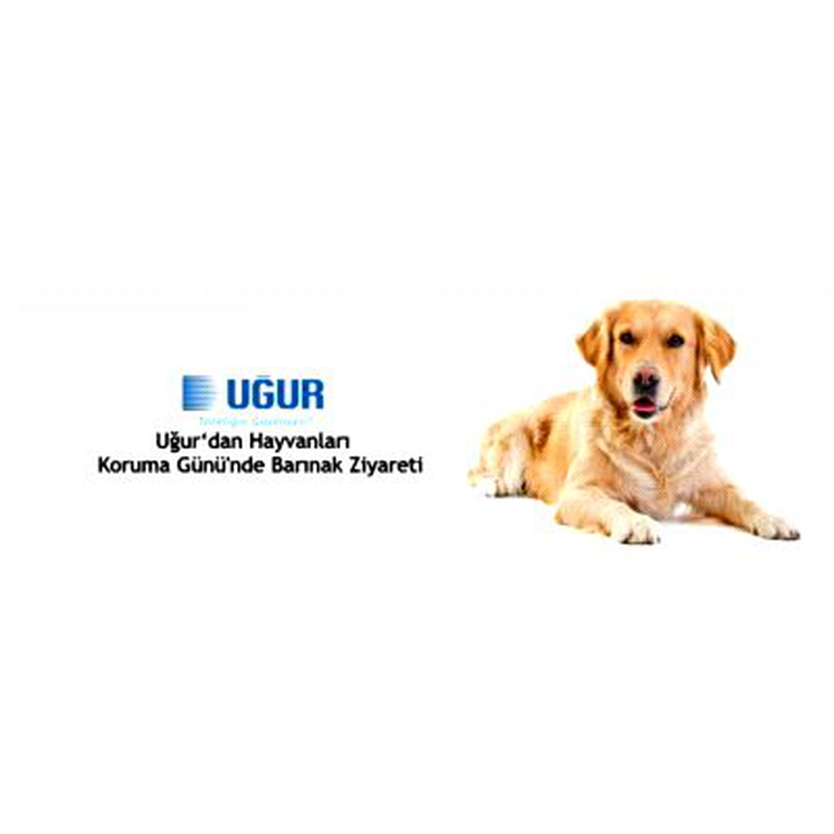 Uğur\'dan Hayvanları Koruma Günü\'nde Barınak Ziyareti