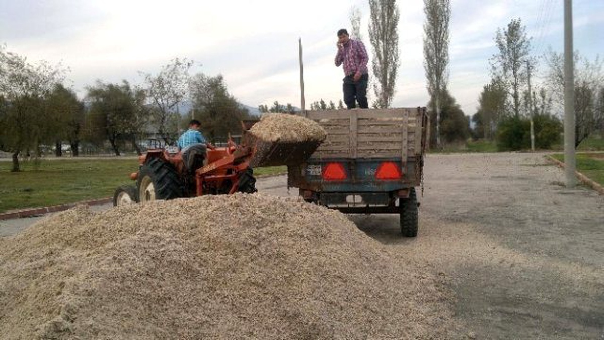 Besicilerin Gözdesi Yaş Pancar Küspesi