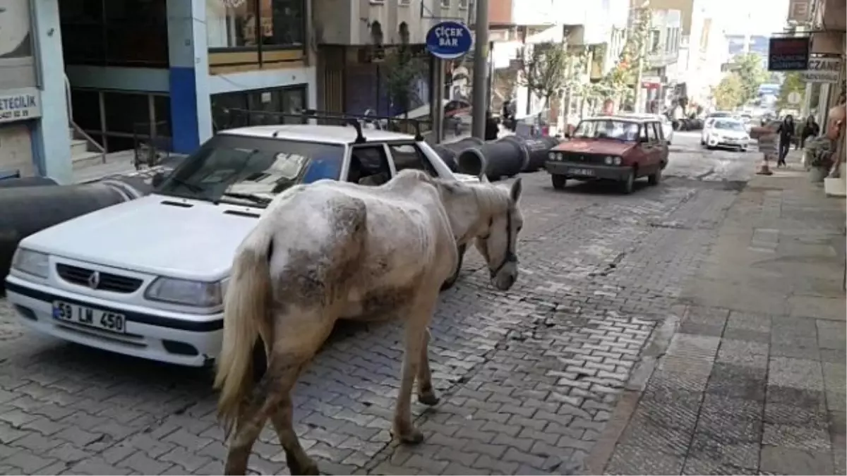 İpini Koparan At Trafiği Karıştırdı