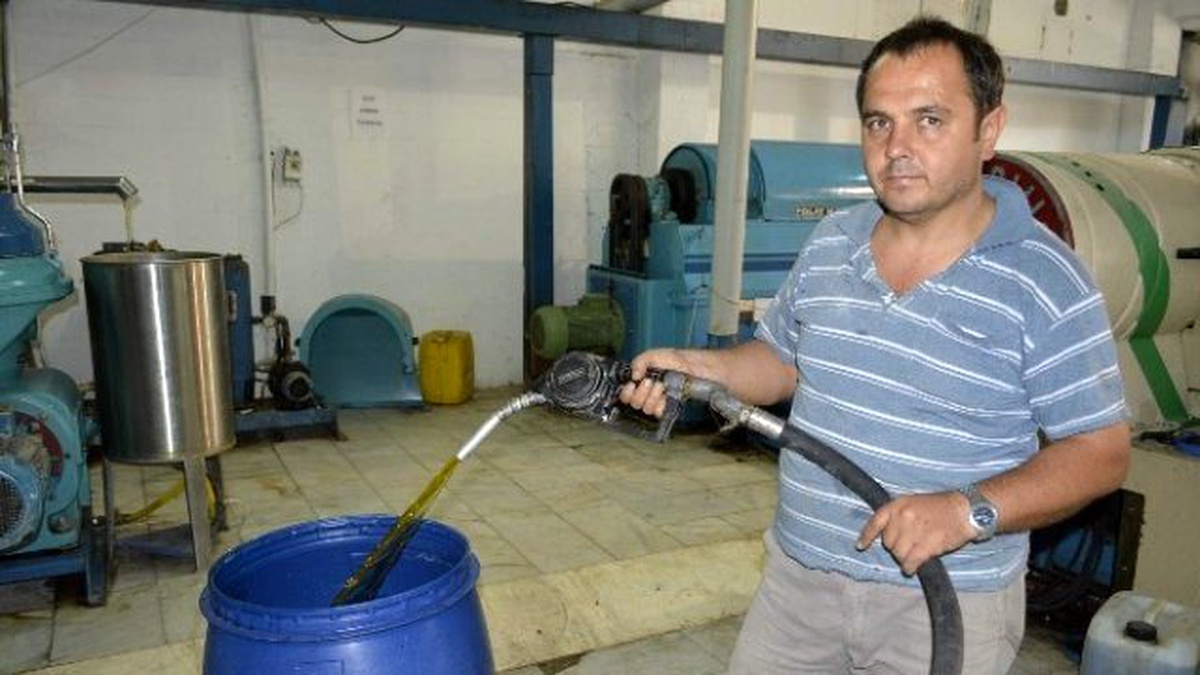 Seydikemer\'de Yılın İlk Zeytinleri Sıkıldı