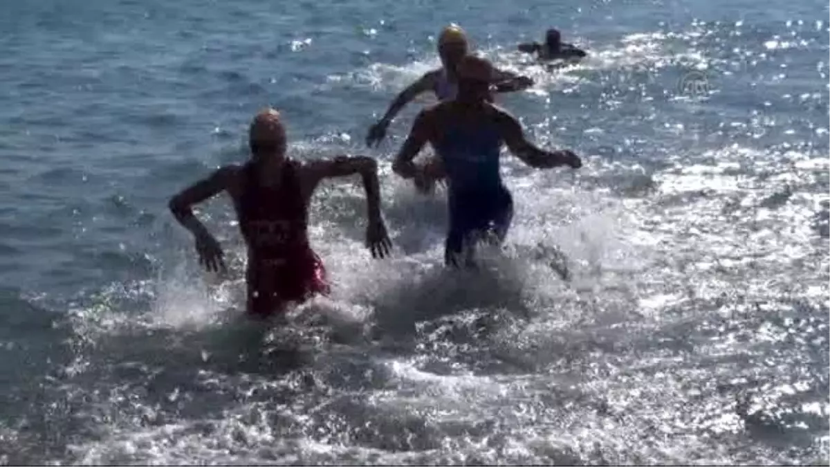 2015 Itu Triatlon Dünya Kupası