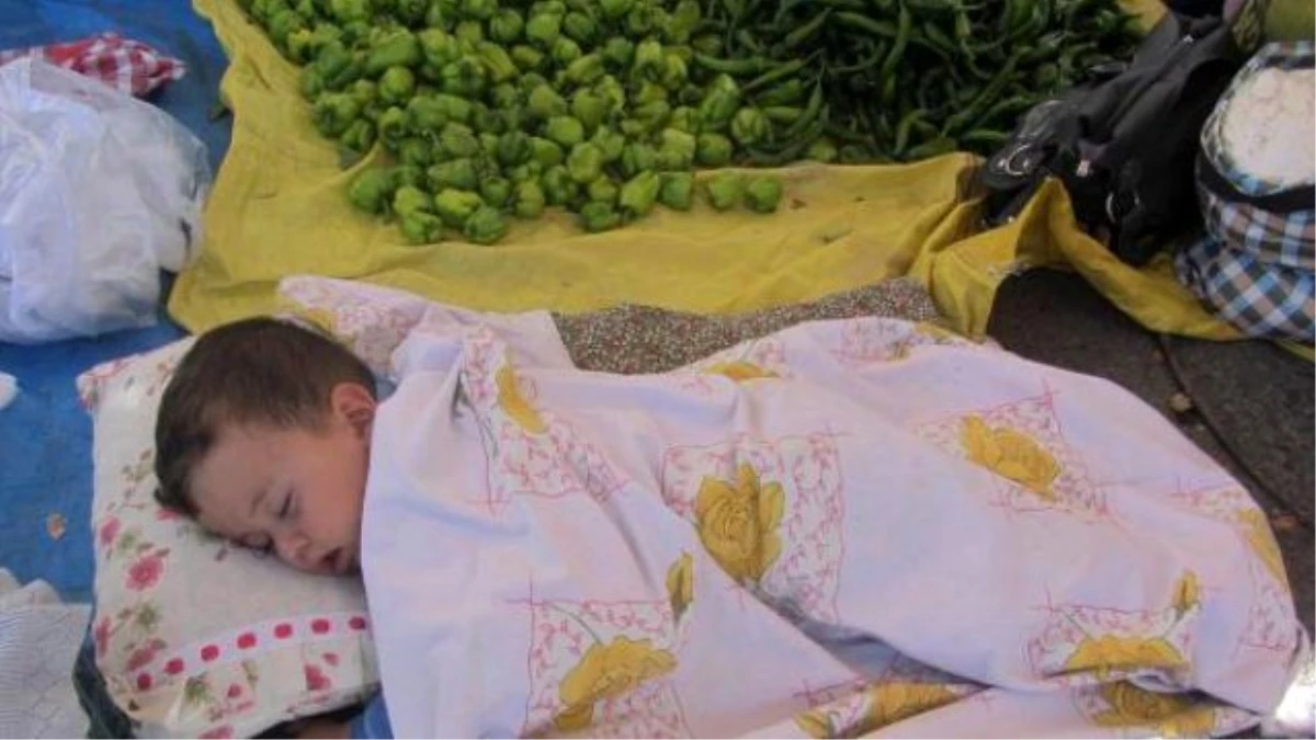 Küçük Çocuğun Bünyesi Pazarın Yoğunluğuna Dayanamadı Uyuya Kaldı