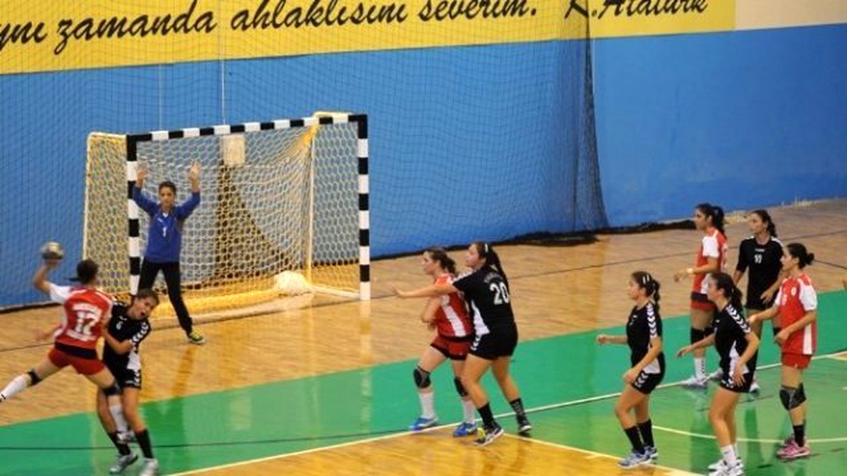 Türkiye Bayanlar Hentbol Birinci Ligi