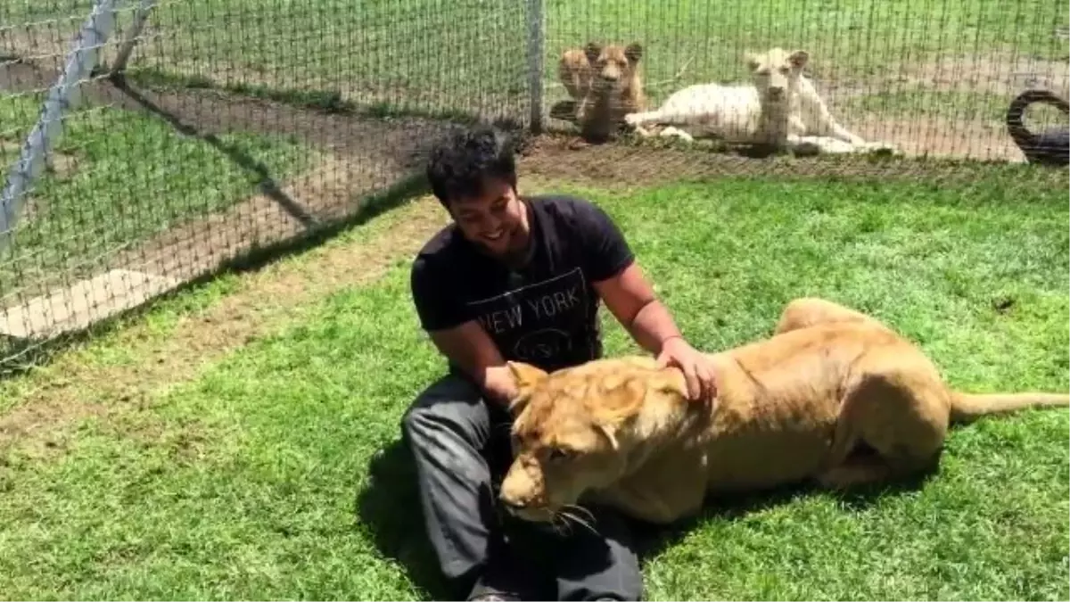 Yıllar Sonra Sahibini Gören Aslandan İnanılmaz Tepki! ( Amazing Lion Give His Owner A Hug! )