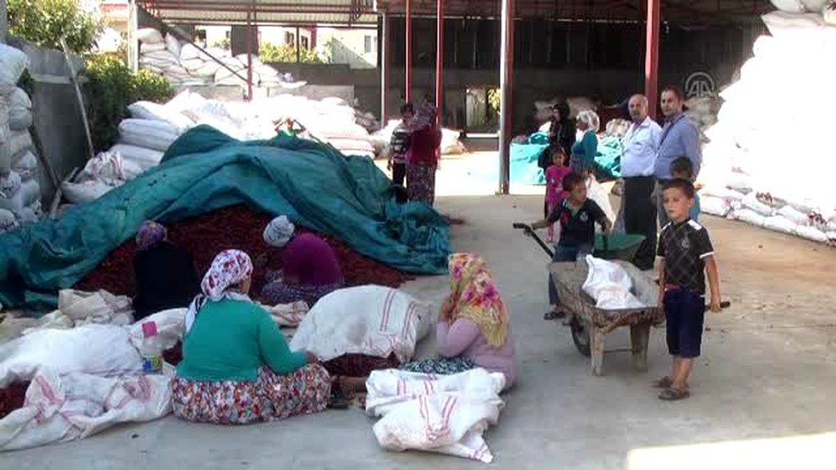 700 Liralık Mikrokredi Yaşamını Değiştirdi, Şimdi Para Dağıtıyor