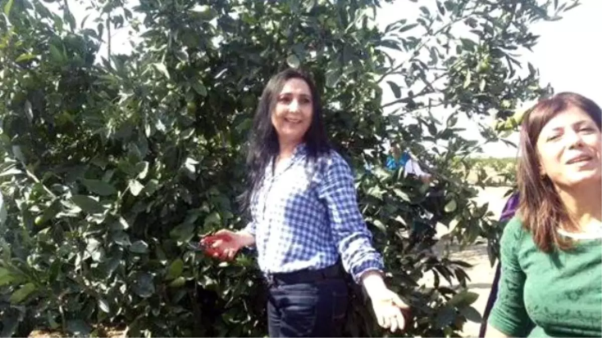 Hdp Eş Genel Başkanı Yüksekdağ Tarım İşçileriyle Buluştu
