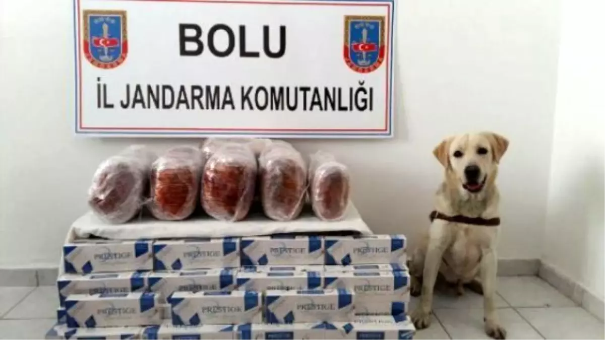 Otobüste 12 Kilo 500 Gram Esrar Ele Geçirildi