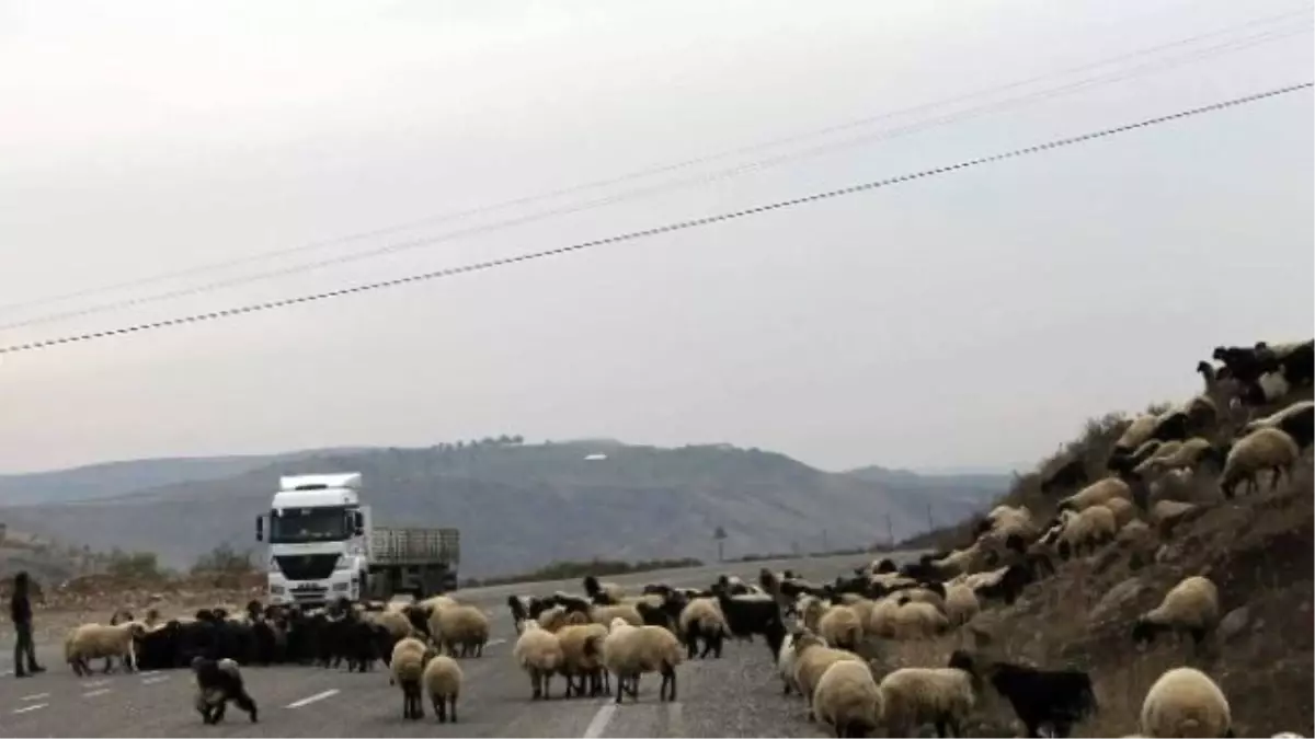 Siirt\'te Yaylalardan Dönüşler Sürüyor