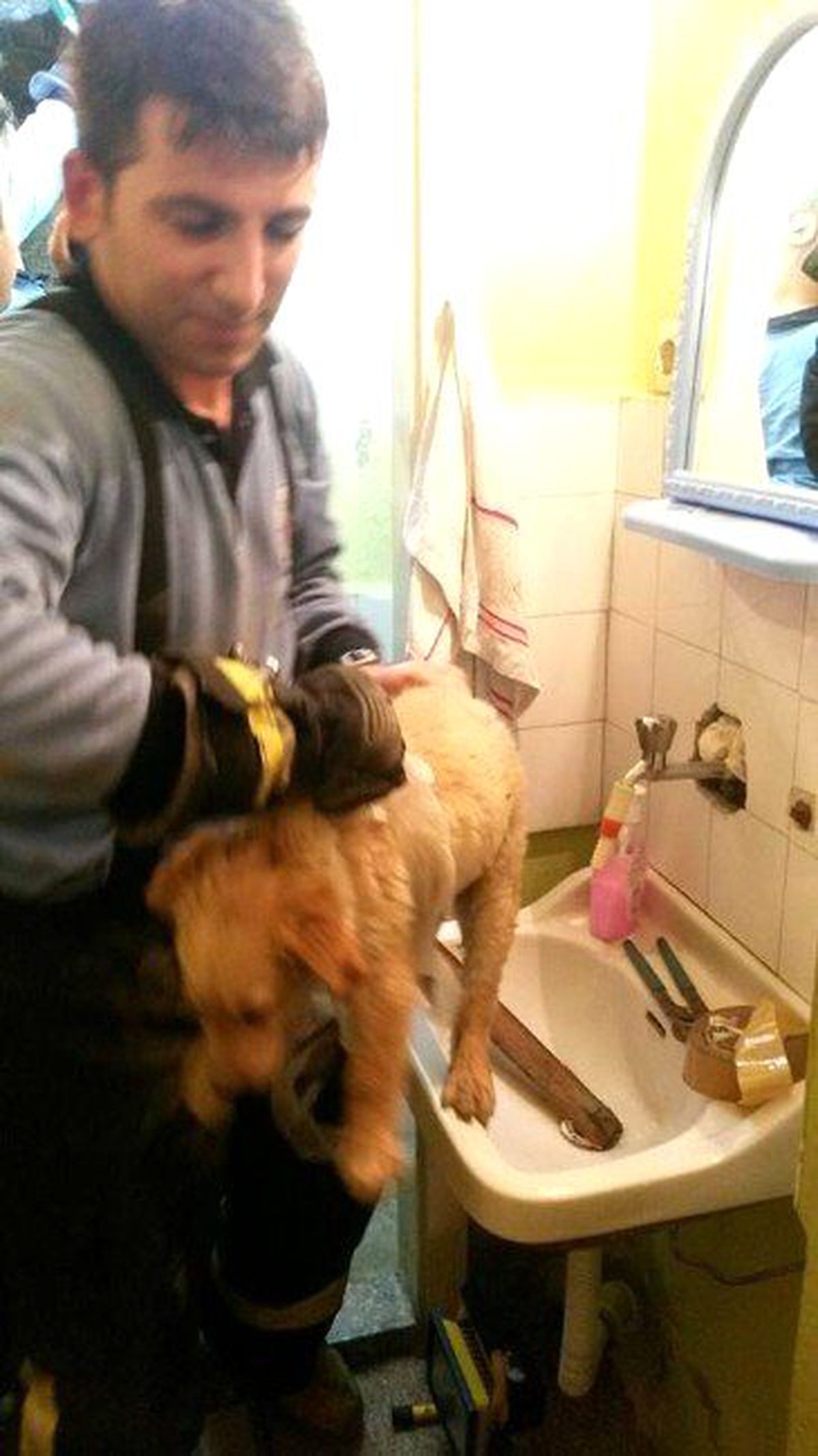 Havalandırma Boşluğuna Düşen Köpeği İtfaiye Kurtardı