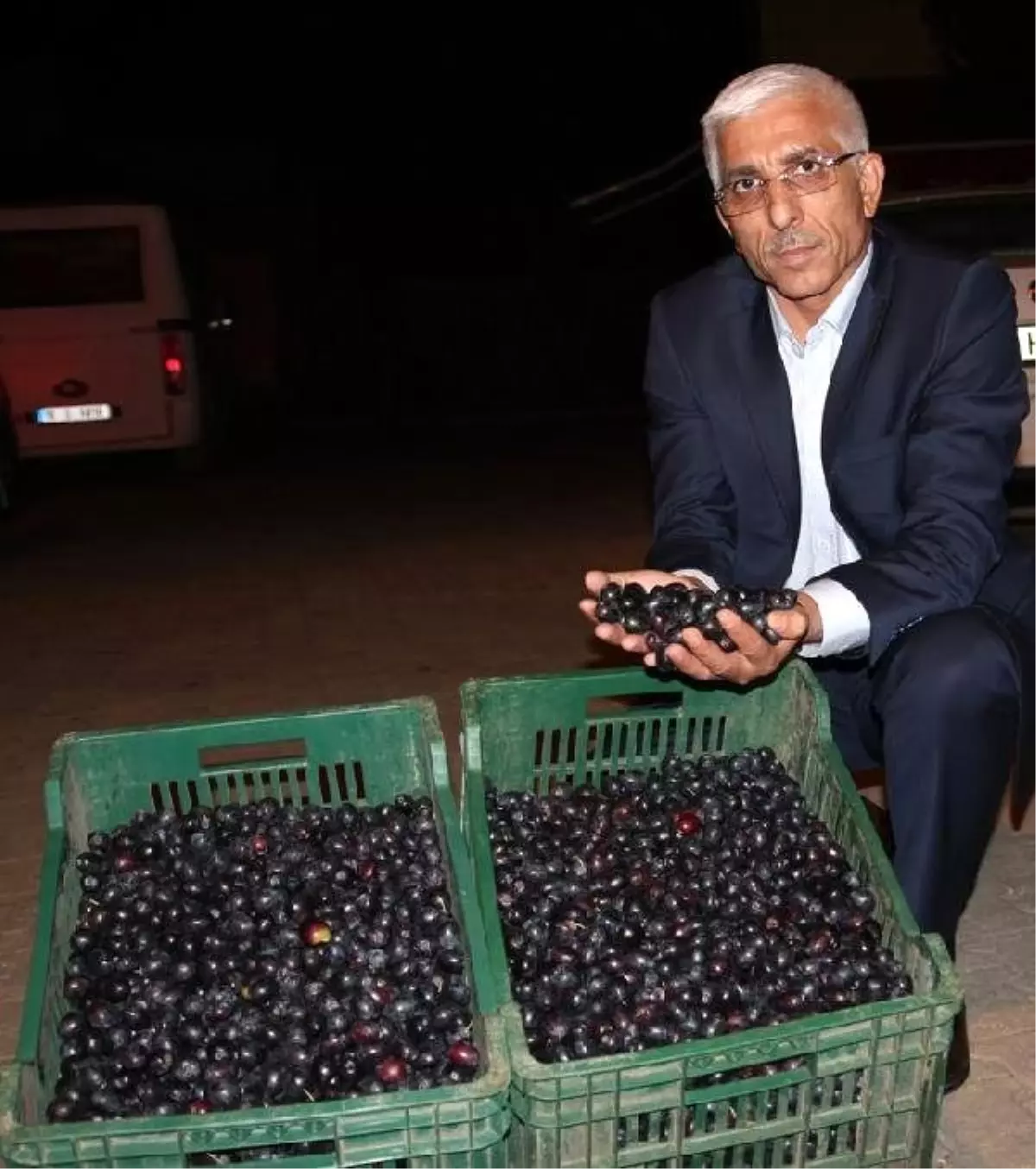 Marmarabirlik Zeytin Alımlarına Başlıyor