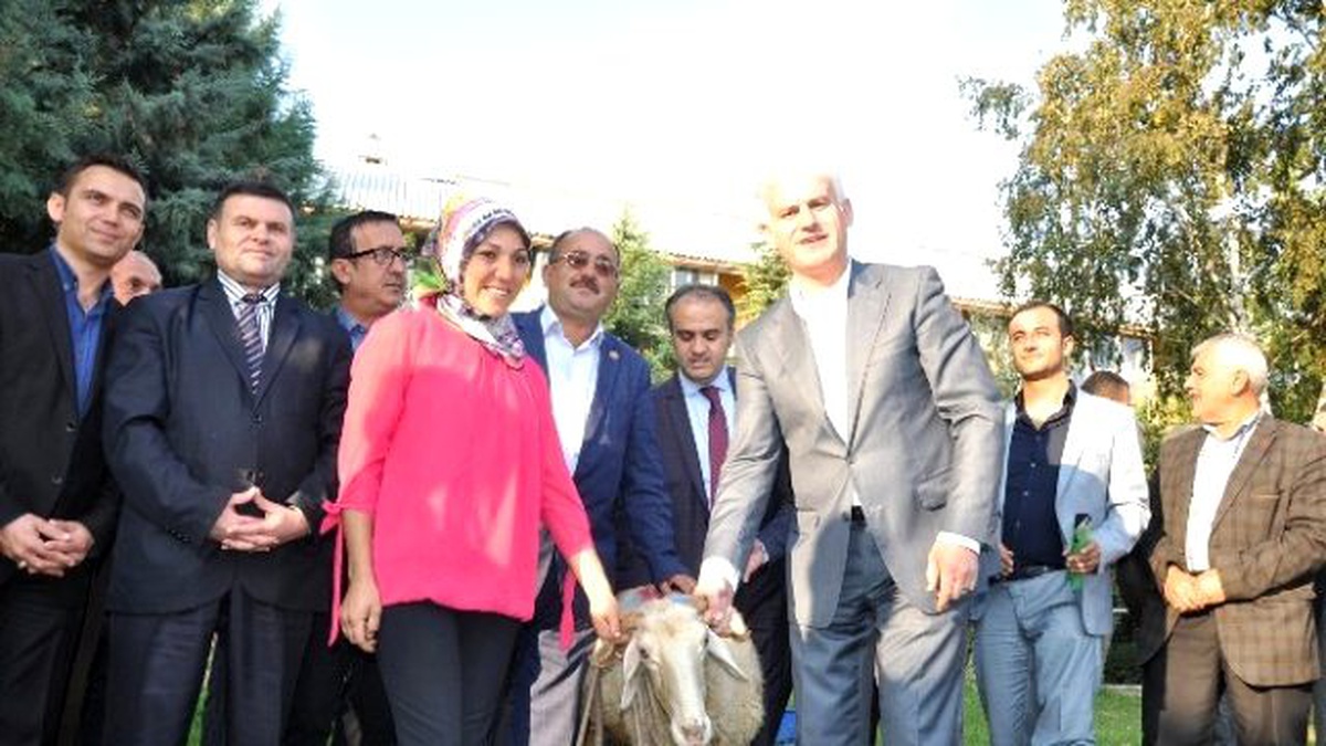 Yetiştiricilere Koyun Desteği