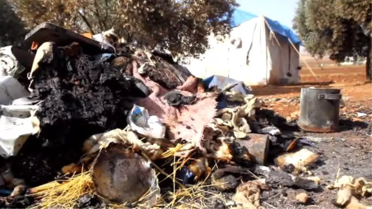 Esed Rejiminden Kaçanlar Rus Uçaklarına Yakalanıyor