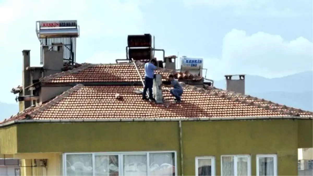 Hayatlarını Hiçe Saydılar