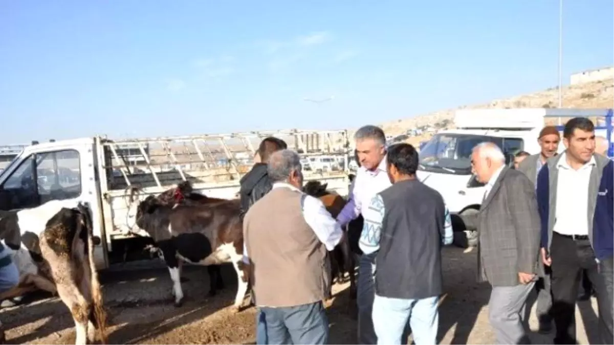 Hdp Gaziantep Milletvekili Adayı Osman Demirci Açıklaması