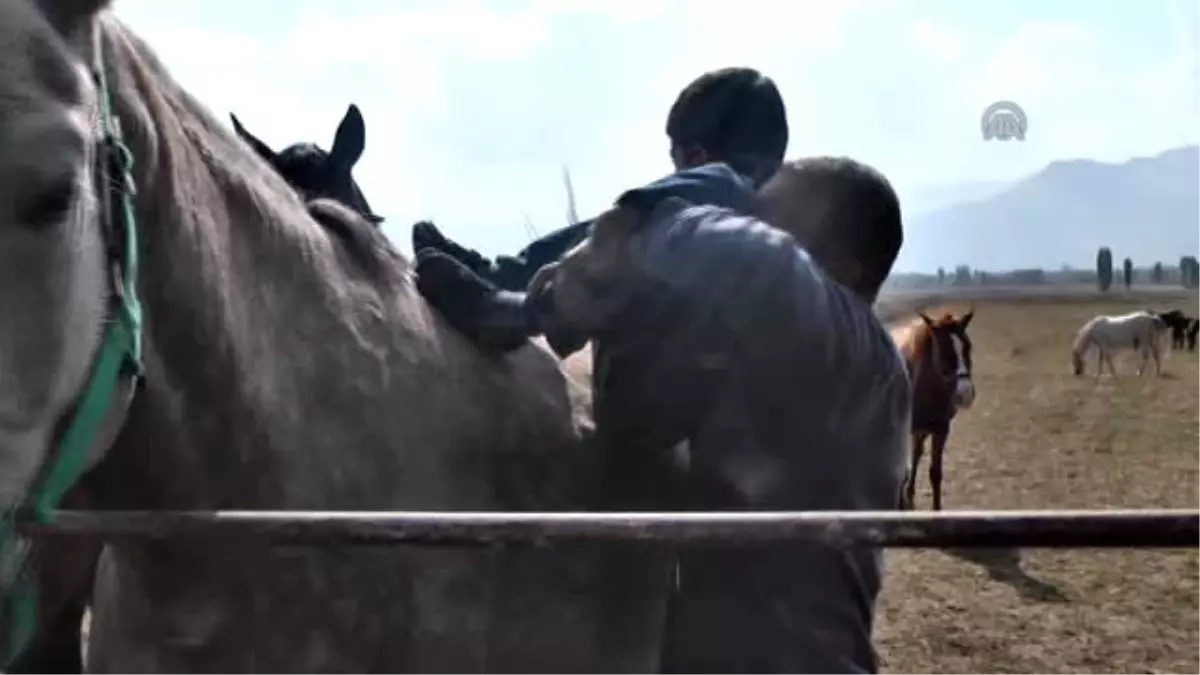 Öğrenciler Yarış Atlarını Sevdi