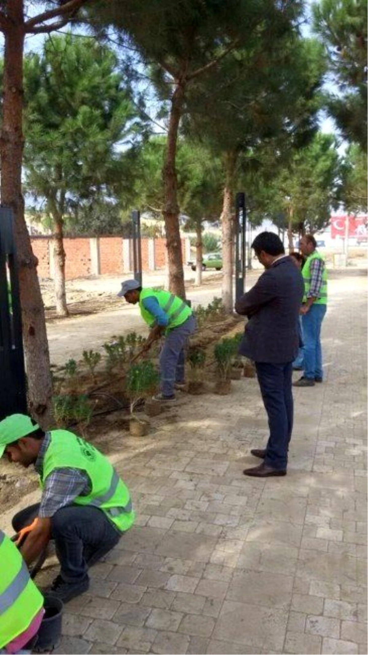 Sarıgöl Belediyesi Yeni Sanayi Girişini Çiçeklerle Donattı