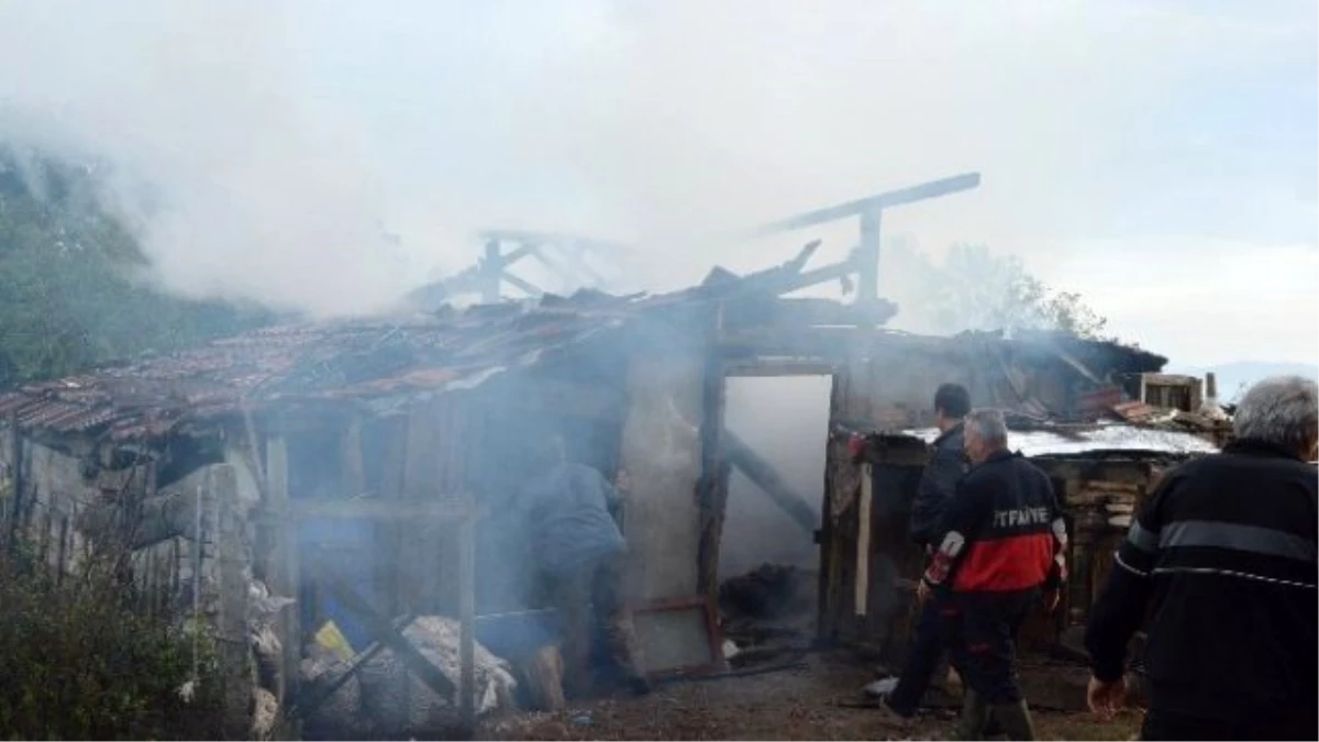 Sinop\'ta Odunluk Yangını Korkuttu
