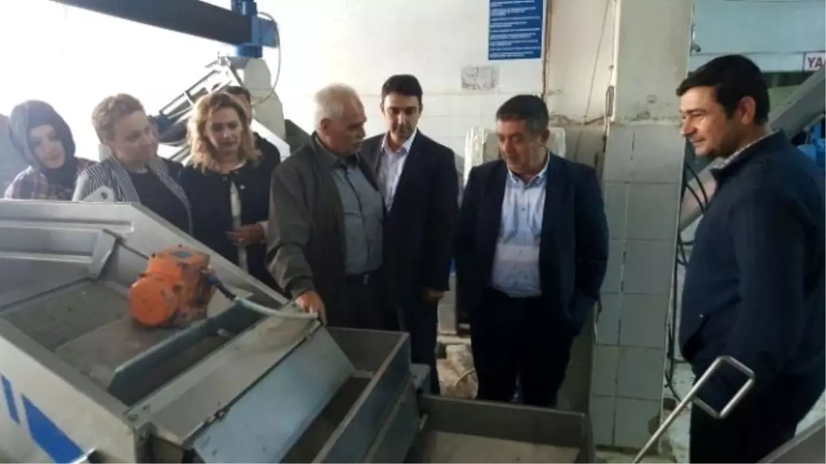 Ali Aydınlıoğlu Çalışmalarına Devam Ediyor