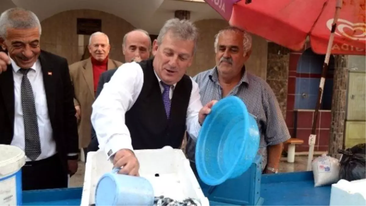 CHP\'li Pekşen, Aksa\'yı Meclis\'e Taşıyacak