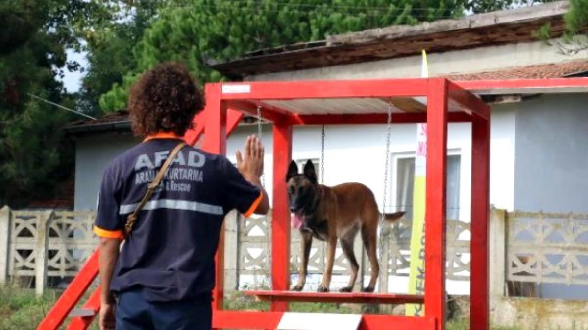 Enkaz Altından Can Kurtaracak Köpekler İçin Sınav