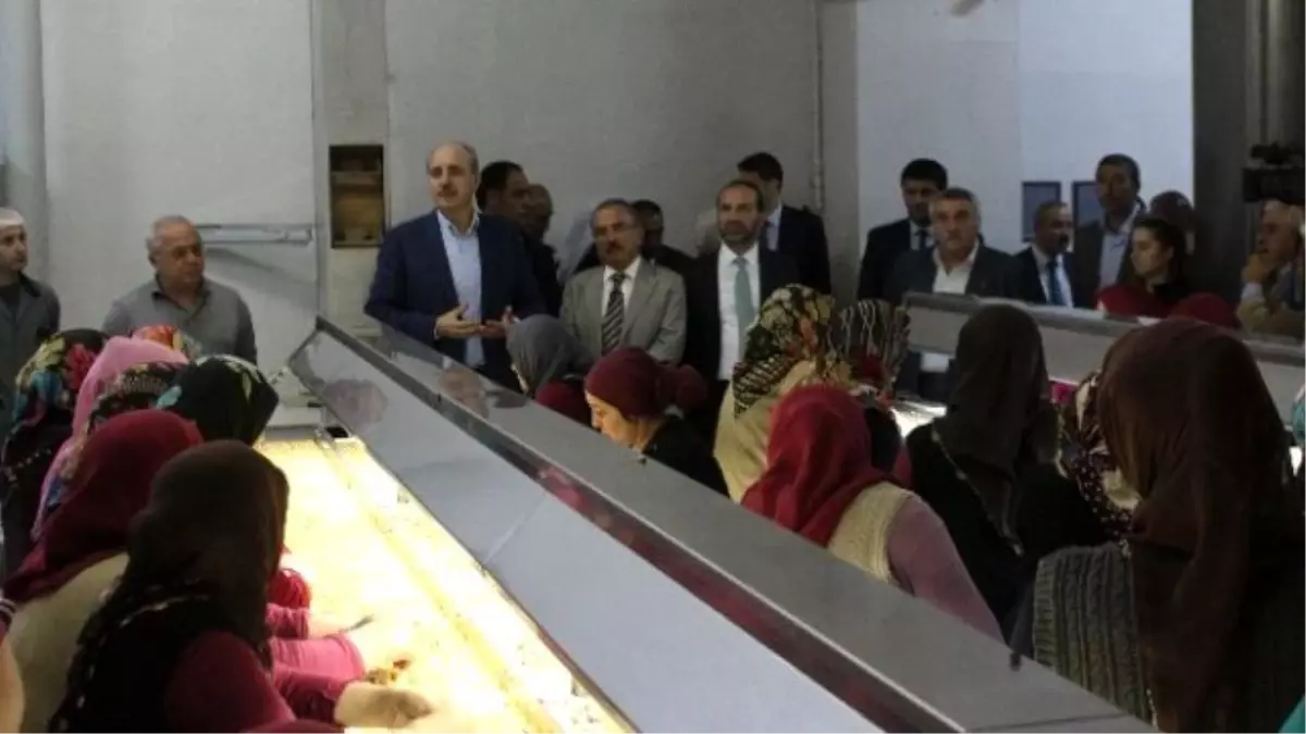 Kurtulmuş: "1 Kasım Türkiye\'nin Hangi İstikamette Yürüyeceğinin Seçimidir"