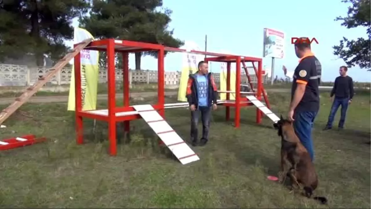 Samsun Enkaz Altından Can Kurtaracak Köpekler İçin Sınav