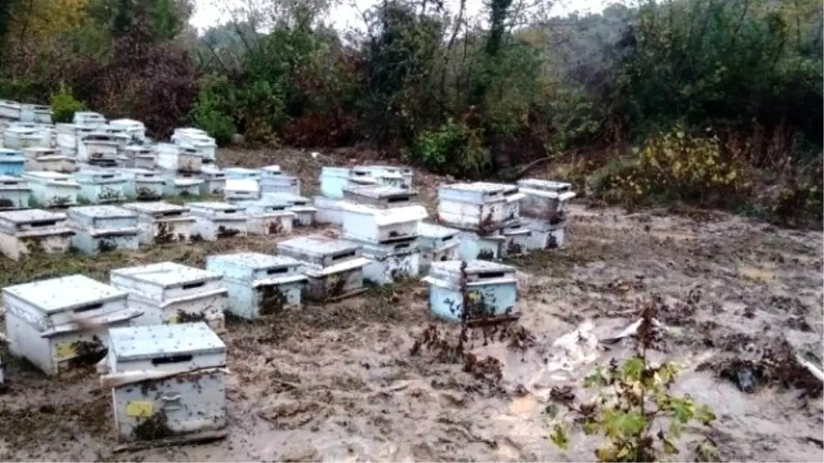 Sel Baskını Arıcıları da Olumsuz Etkiledi
