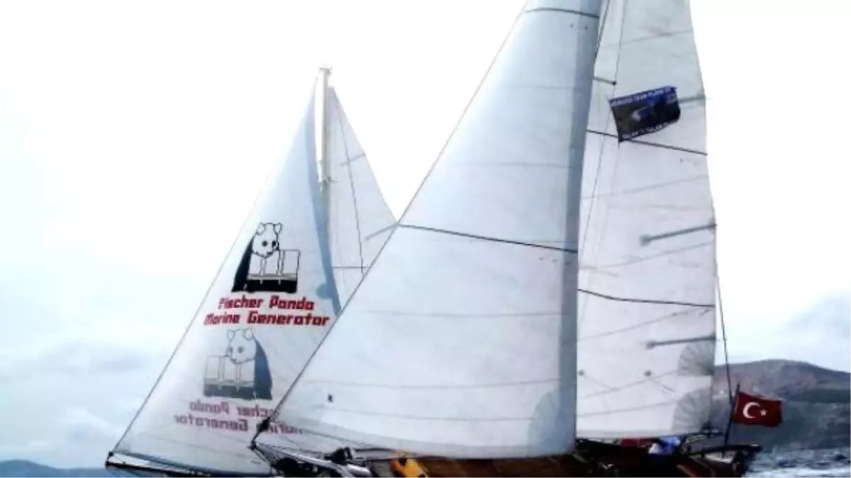 Yelkenli Ahşap Yat Yarışlarında Mülteci Sürprizi