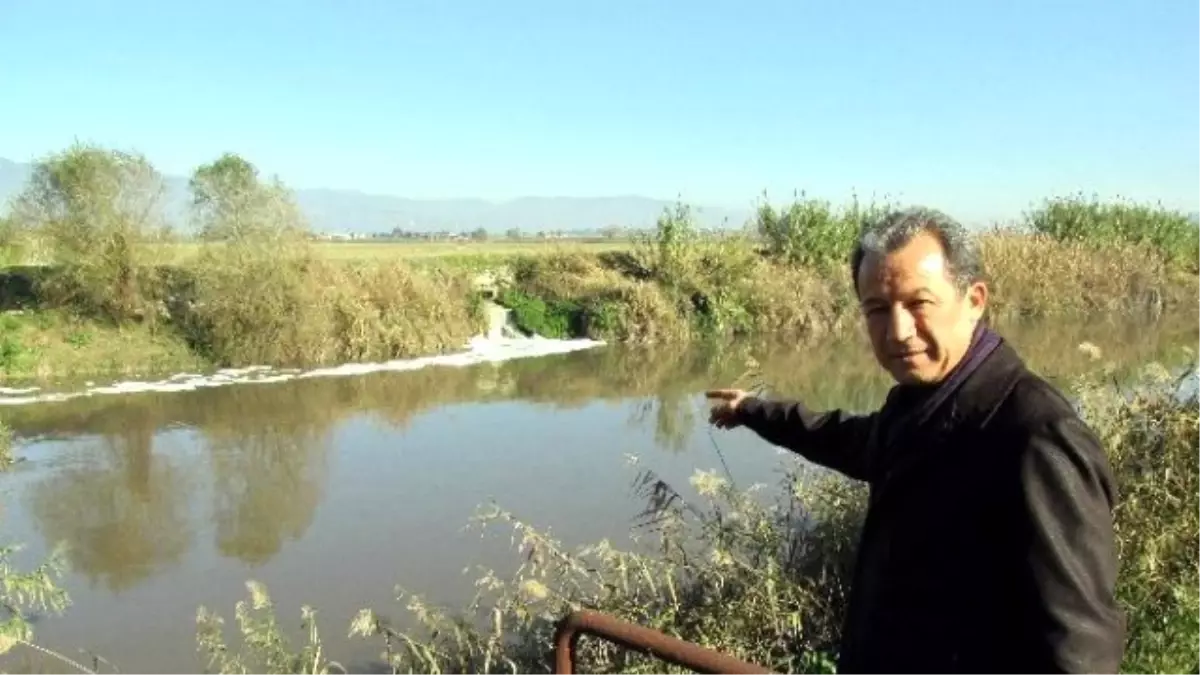 Aydın Tabip Odası Kanser ve Çevre Kirliğine Dikkat Çekti