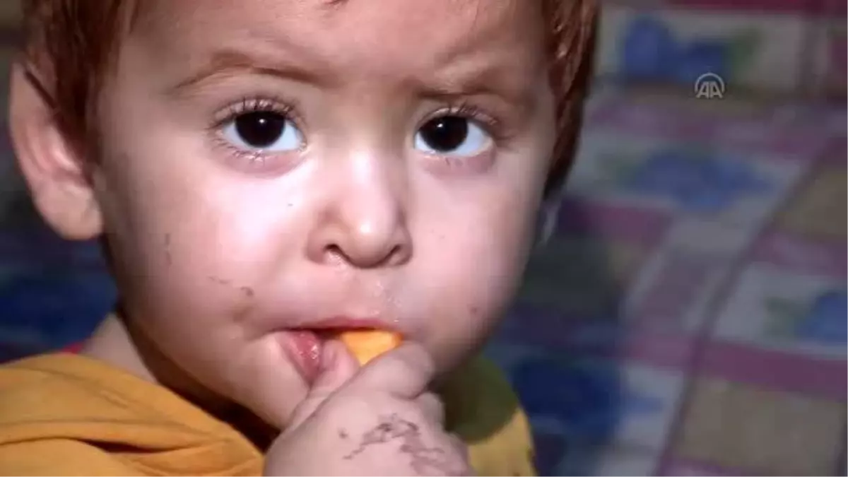 Balıkçılar Tarafından Kurtarılan Suriyeli Bebek, Akrabalarının Yanına Sığındı