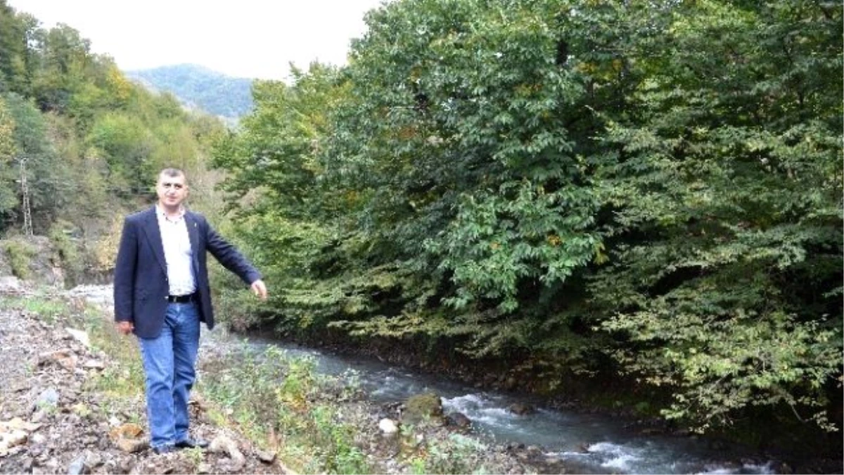 Batı Karadeniz\'in En Büyük Barajı İçin Çalışmalar Başladı