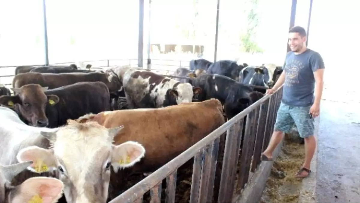 Biriktirdiği Okul Harçlığı ile Kuzu Alıp Çiftlik Sahibi Oldu