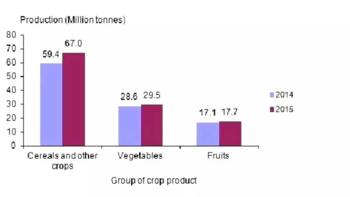 Crop Production To Rise By 8.6 Pct. Over İncrease İn Cereals