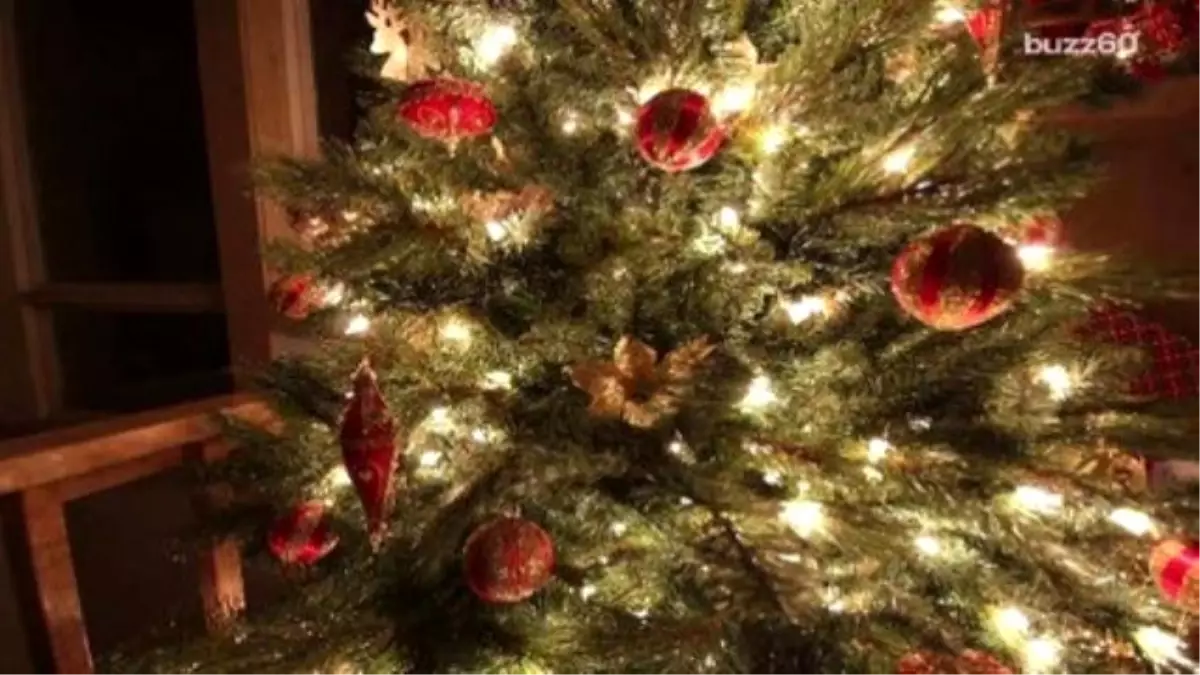 Entire Town Celebrates Christmas İn October For Little Boy Dying Of Brain Cancer