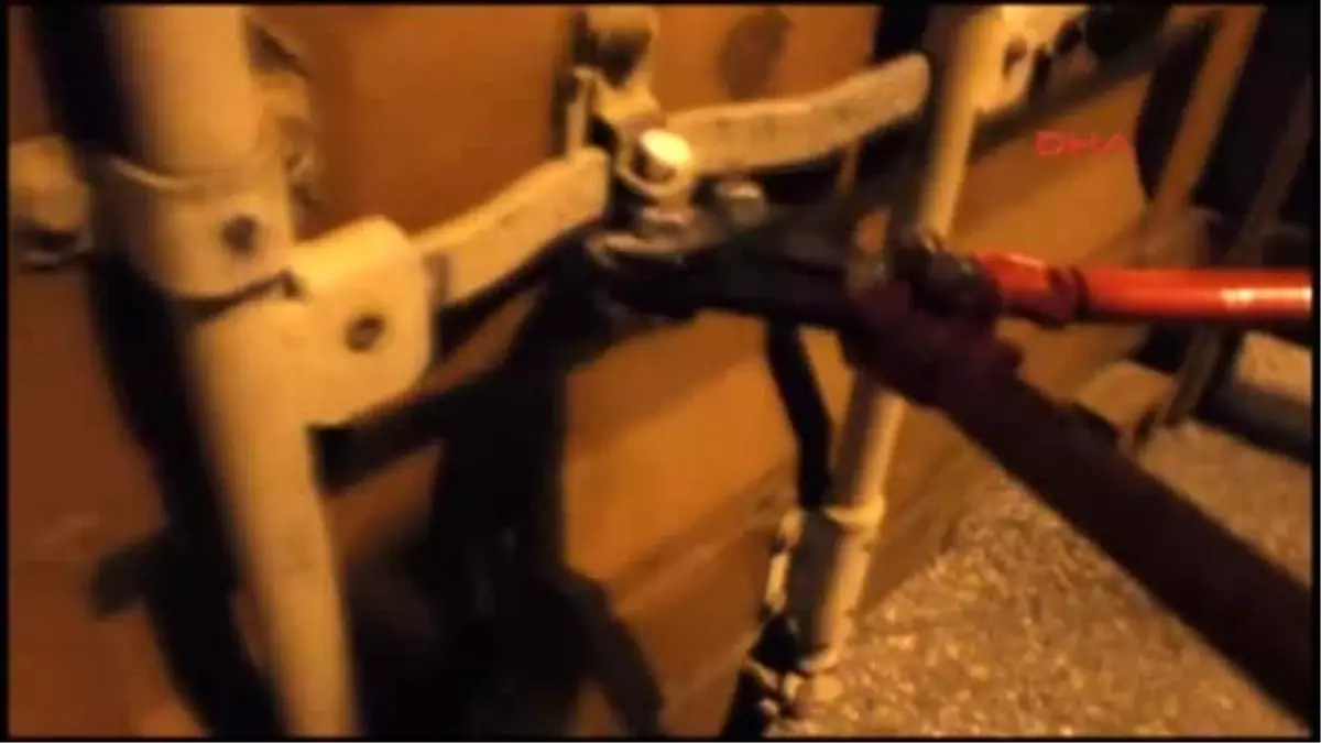 Lilly" 13 Milyon Liralık Kaçak Sigara Buldu