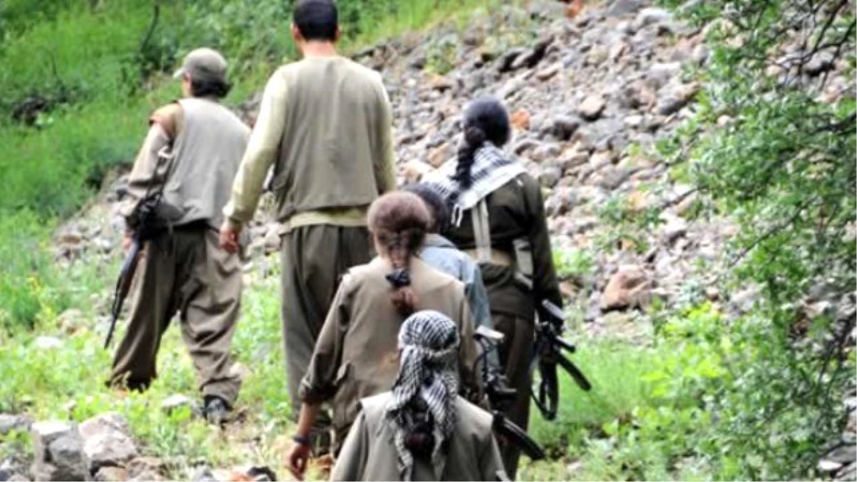 PKK\'nın Bingöl Bölge Sorumlusu Yakalandı