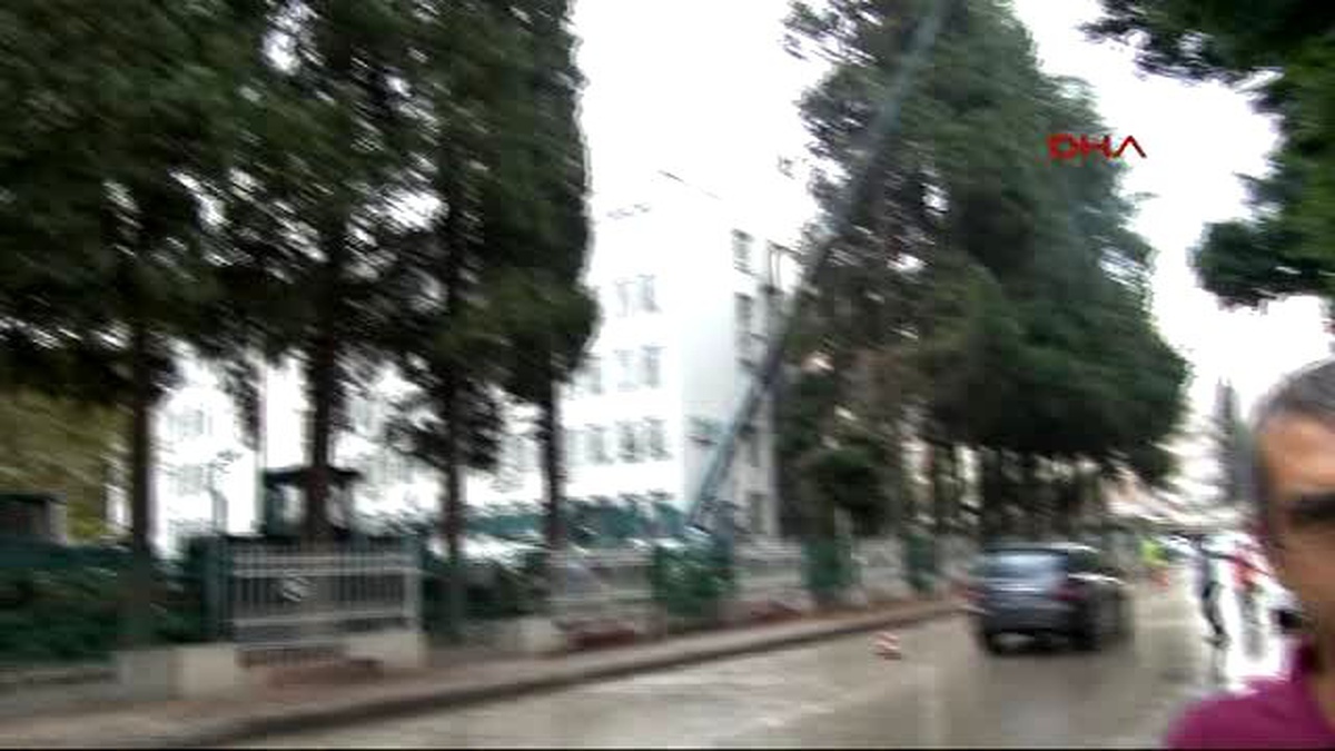 Adana\'da Ağaç Kesimine \'Çürüme\' Gerekçesi