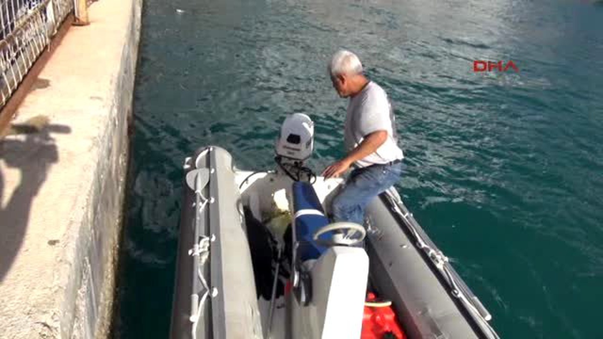 Antalya Yavru Fok Fırtınada Annesini Kaybetti