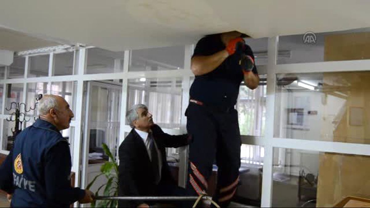 İtfaiyeden Kedi Kurtarma ve Yılan Yakalama Operasyonu