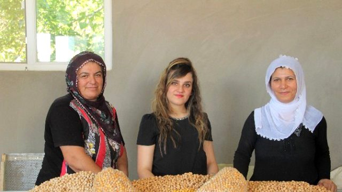 Kadın Patron, 2 Kadın İşçisi ile Birlikte Leblebi Fabrikası Açtı