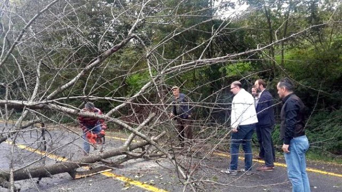 Rüzgarın Devirdiği Ağaç Yolu Kapattı