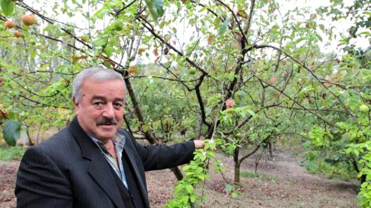 Stres, Elma Ağacına Çiçek Açtırdı